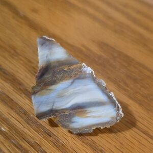 Petrified Wood